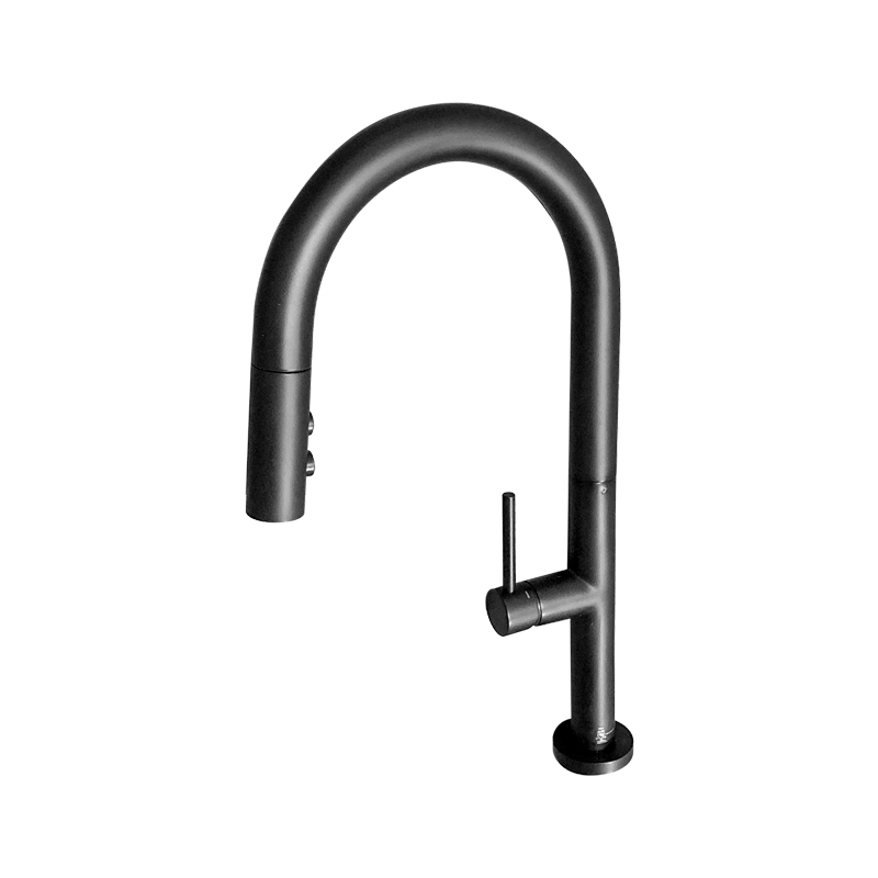 Aquaart Single Handle Kitchen Faucet Black Plumbing Fixtures 